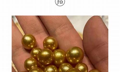 南洋金珠淡金色13m价格_南洋金珠浓金价